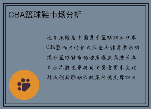 CBA篮球鞋市场分析